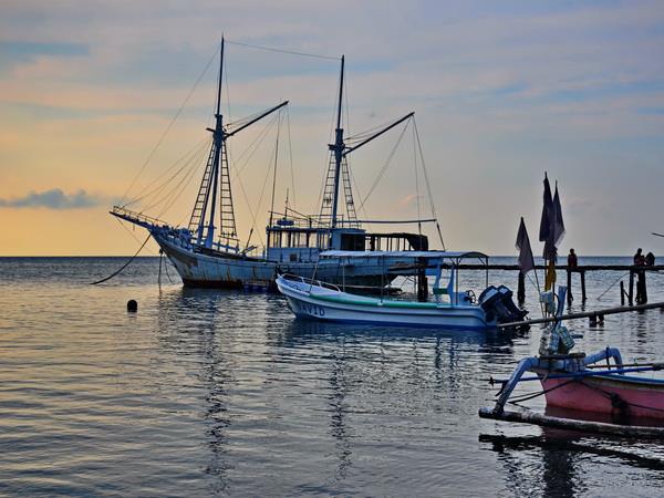 Java 12 day tour