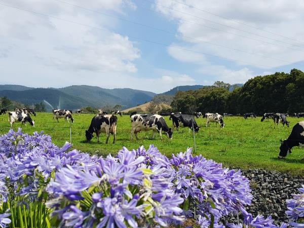 Tasmania 7 day tour, Australia
