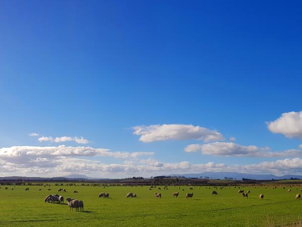 Tasmania 8 day tour, Australia