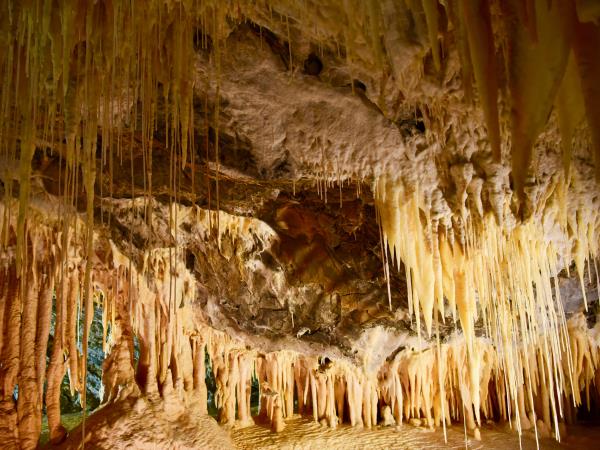 Tasmania small group tour, 13 days