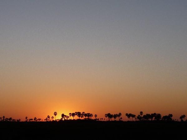 Botswana safari with Victoria Falls