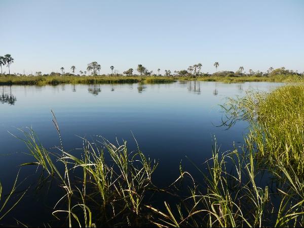 Victoria Falls & Botswana safari vacation