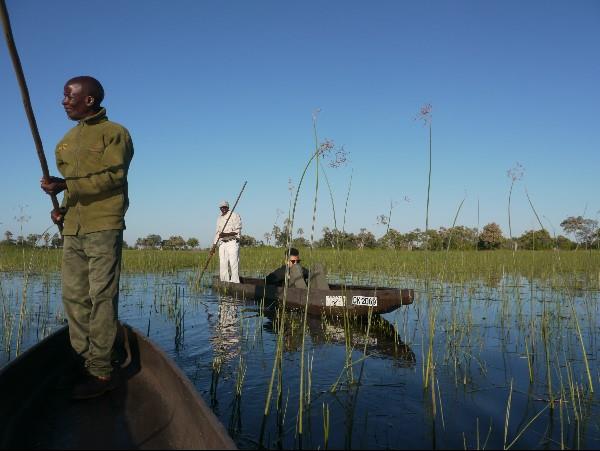 Victoria Falls & Botswana safari vacation