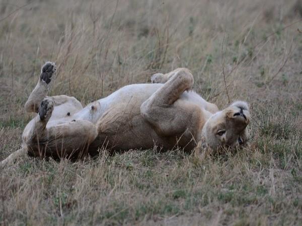 Botswana Delta and desert safari