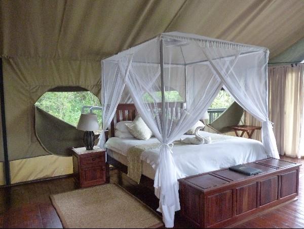 Botswana wildlife safari, meerkats & more