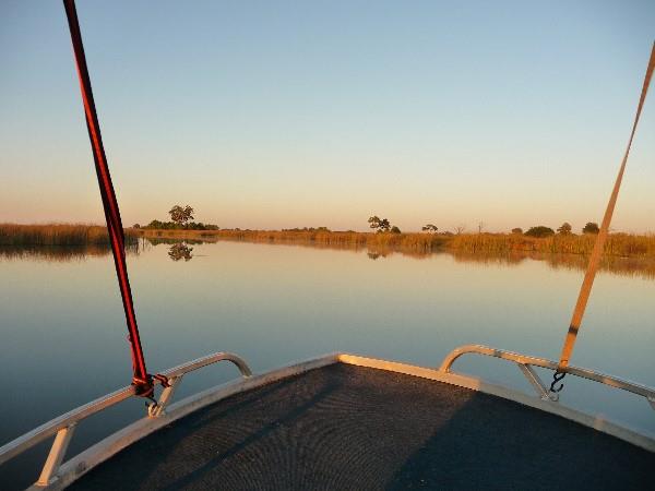 Botswana wildlife safari, meerkats & more