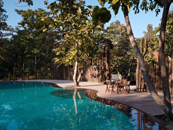 Wildlife holiday in Central India