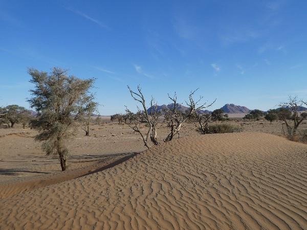 Namibia self drive vacation