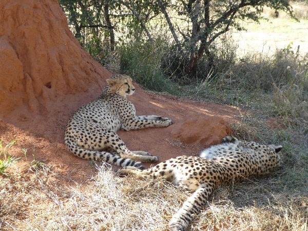 Namibia self drive vacation