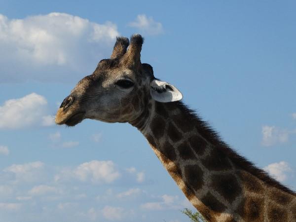Namibia self drive vacation
