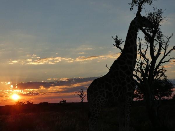 Namibia self drive vacation