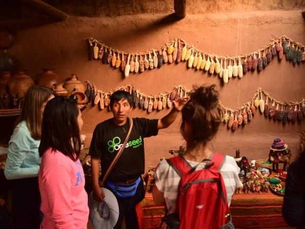 Peru 8 day trekking vacation, ultimate Machu Picchu