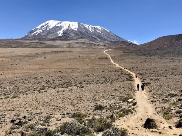 Kilimanjaro summit trek and safari vacation, Tanzania
