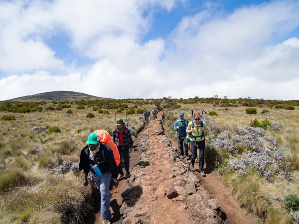 Kilimanjaro summit trek and safari vacation, Tanzania