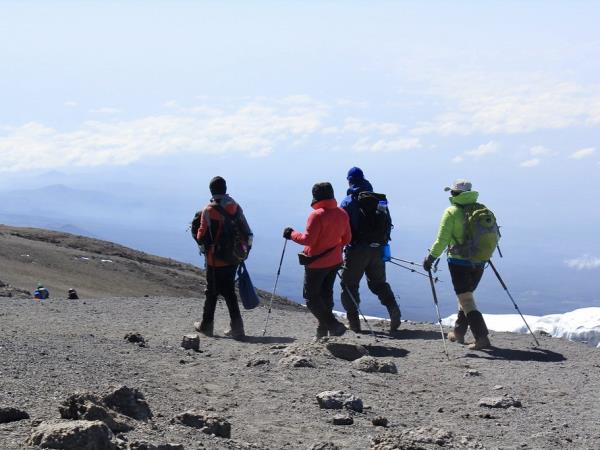 Kilimanjaro summit trek and safari vacation, Tanzania