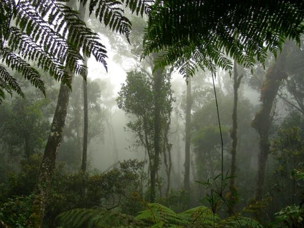 Tailor made Malaysia vacations