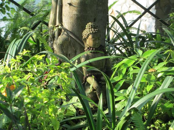 Nepal culture and wellness vacation