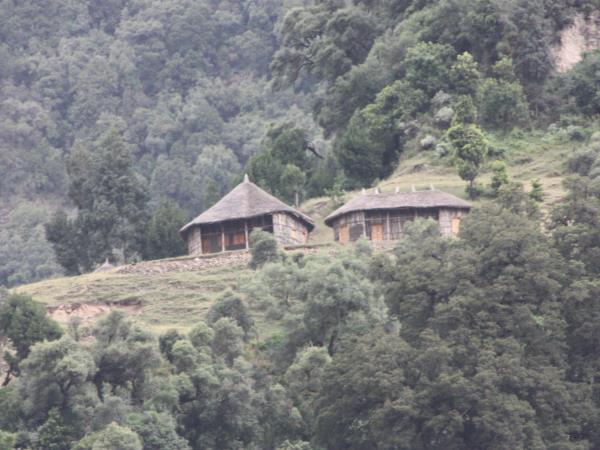 Ethiopia trekking in Wof Washa forest