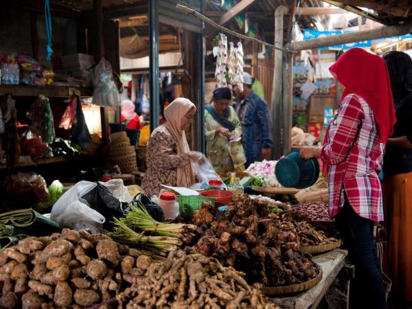 Java and Lombok 11 day tour