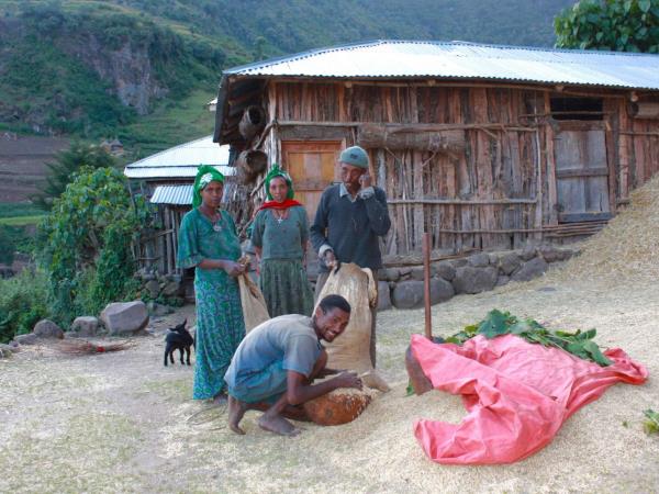 Ethiopia trekking in Wof Washa forest