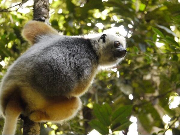 Madagascar tailor made vacation