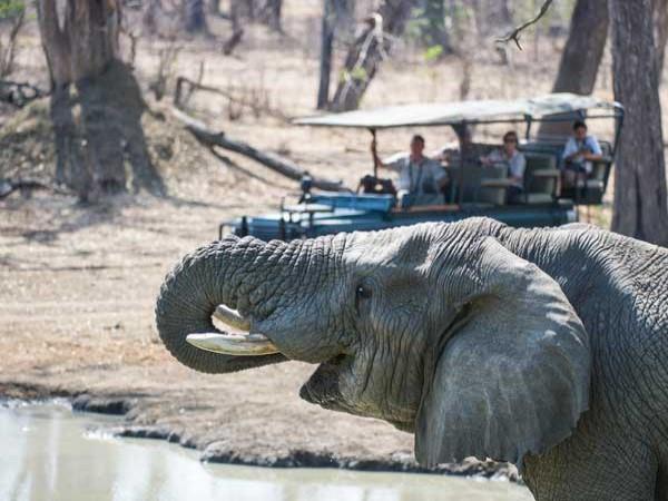 Zambia safari and Malawi beach vacation