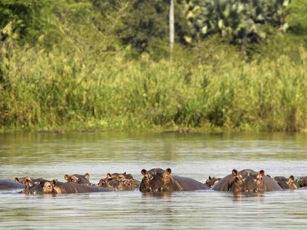 Zambia safari and Malawi beach vacation