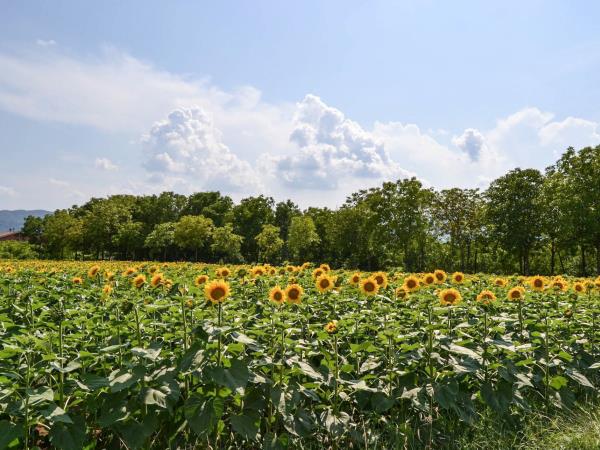 Umbria to Tuscany cycling & cooking vacation