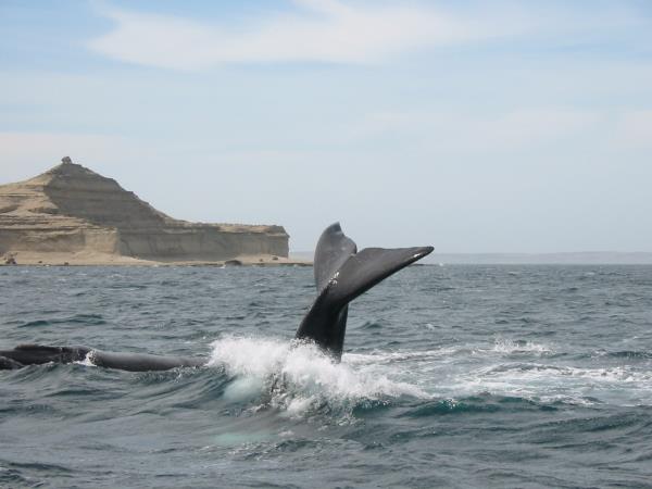 Grand tour of Patagonia vacation