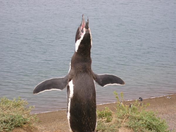 Grand tour of Patagonia vacation