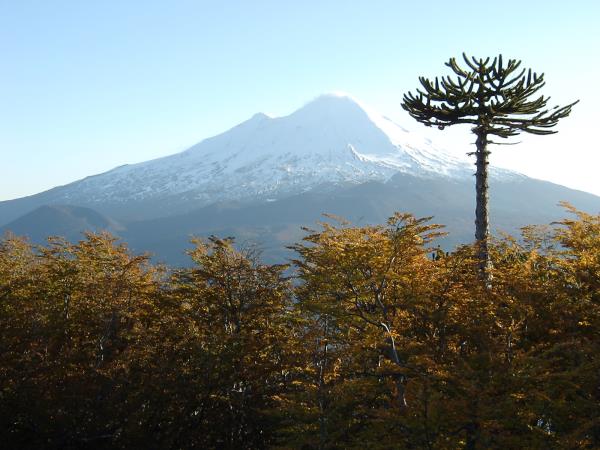 Grand tour of Patagonia vacation