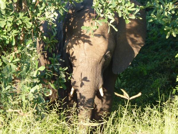Zimbabwe highlights vacation