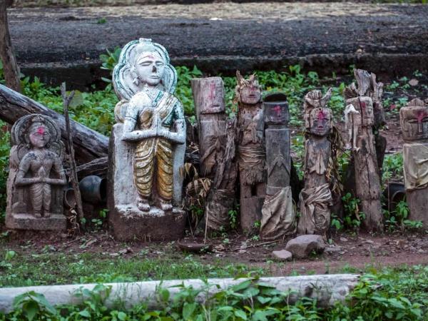 West-central India wildlife vacation