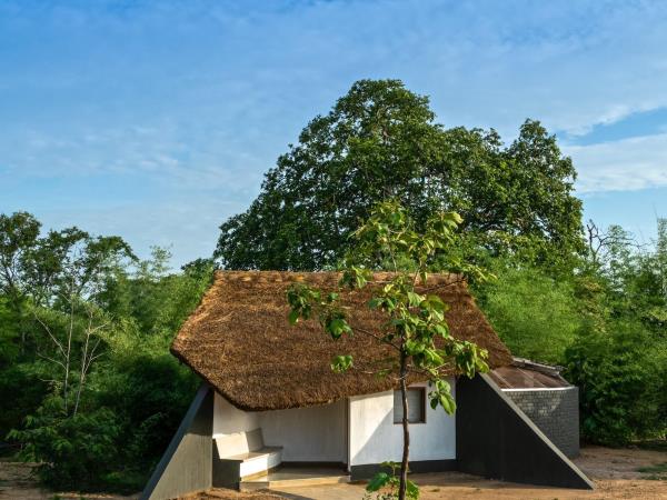 West-central India wildlife vacation