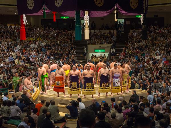Japan 12 day tour, tailor made