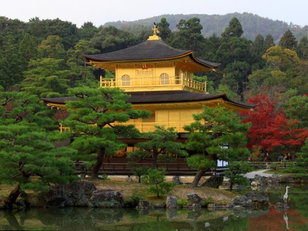 Japan 12 day tour, tailor made