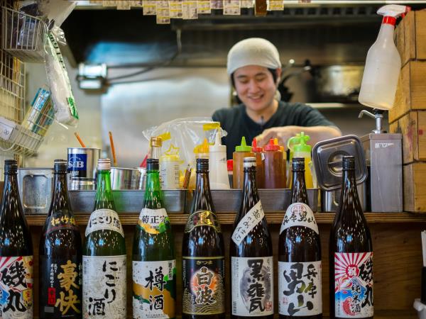 Japan 12 day tour, tailor made