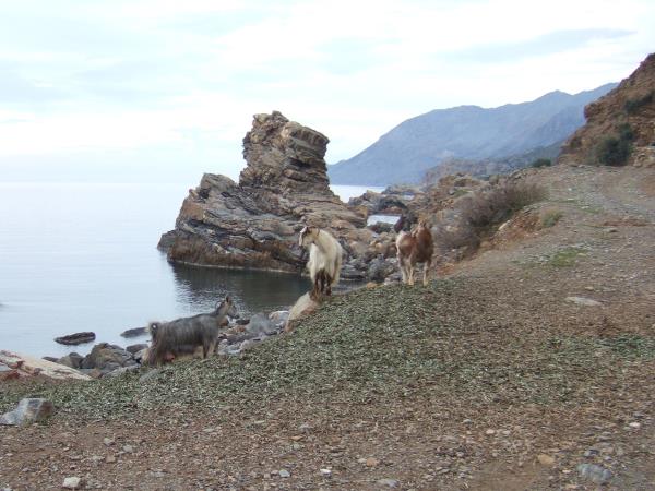 Walking and painting vacation in Crete