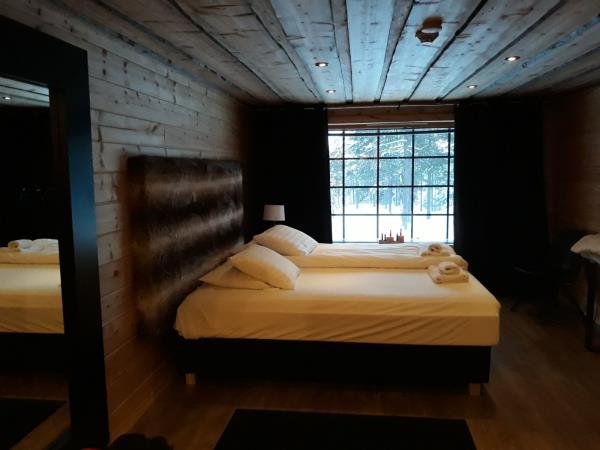 Helsinki, Saint Petersburg and Lapland vacation