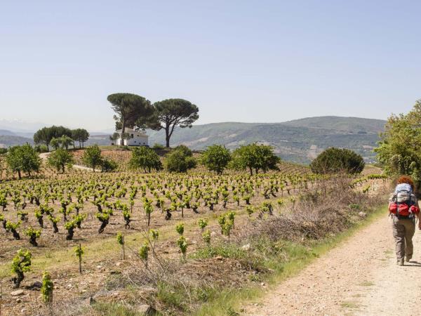 Camino de Santiago inn to inn walking vacation