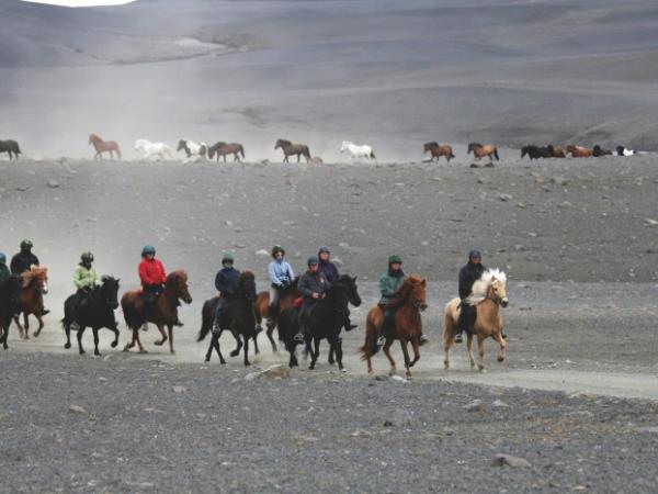 Horse riding vacation in Iceland, 5 days
