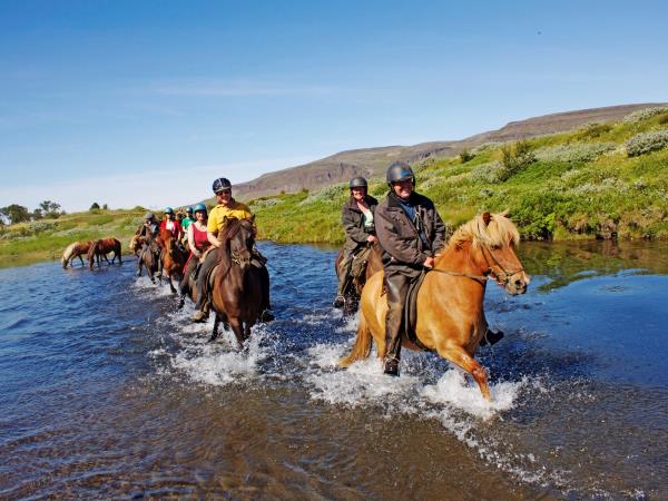 Horse riding vacation in Iceland, 5 days