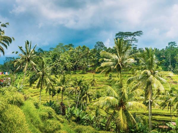 Indonesia family vacation, tailormade