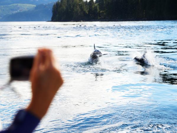 Johnstone Strait kayaking tour in Canada