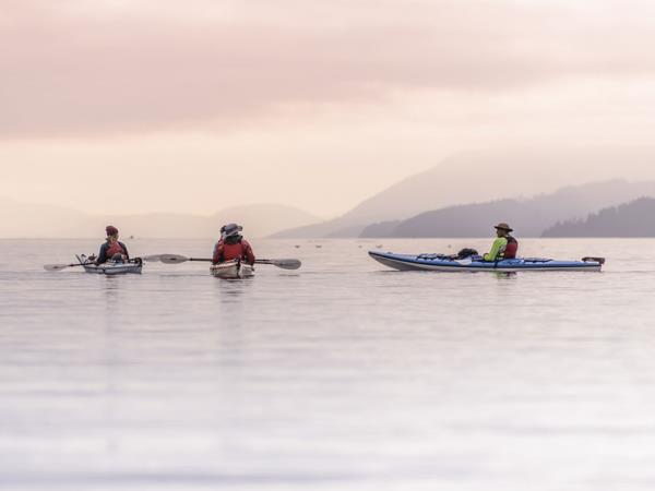 Johnstone Strait kayaking tour in Canada