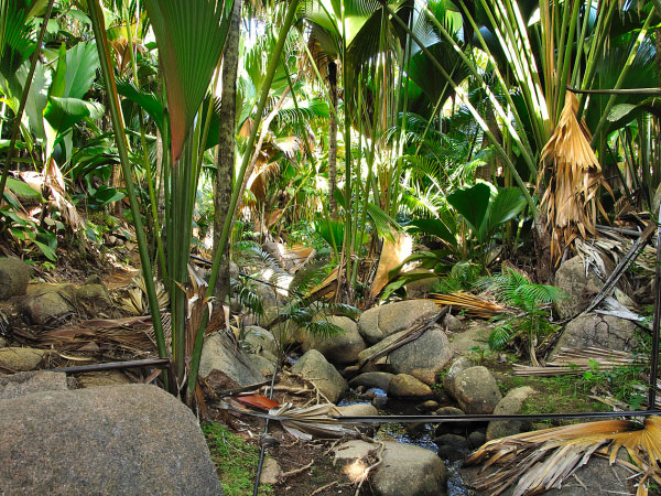 Seychelles island hopping vacation