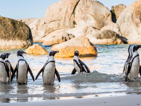 South Africa luxury family safari