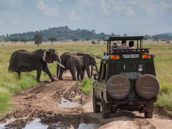 Tanzania family safari and Zanzibar vacation