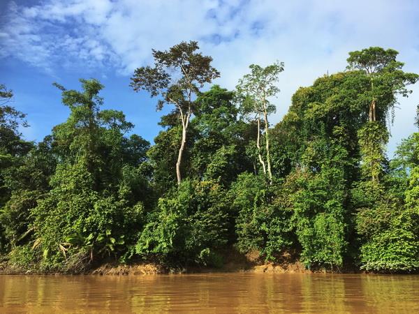 Borneo vacation, Land below the wind