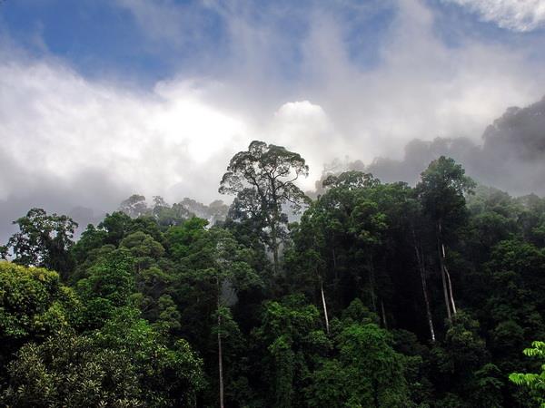 Borneo small group adventure holiday